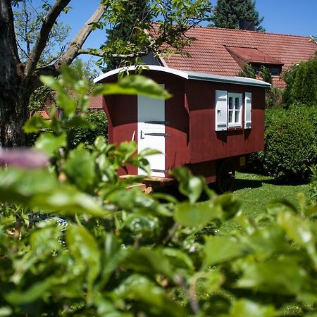 Haus Am Salinenweg Lägenhet Grassau  Exteriör bild