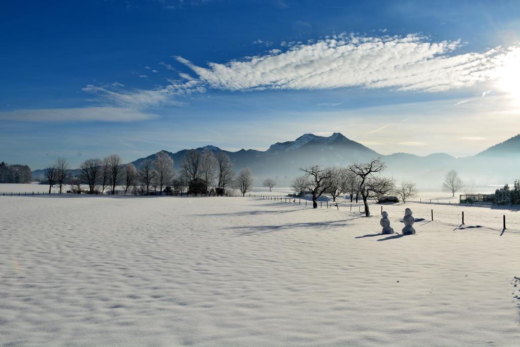 Haus Am Salinenweg Lägenhet Grassau  Exteriör bild